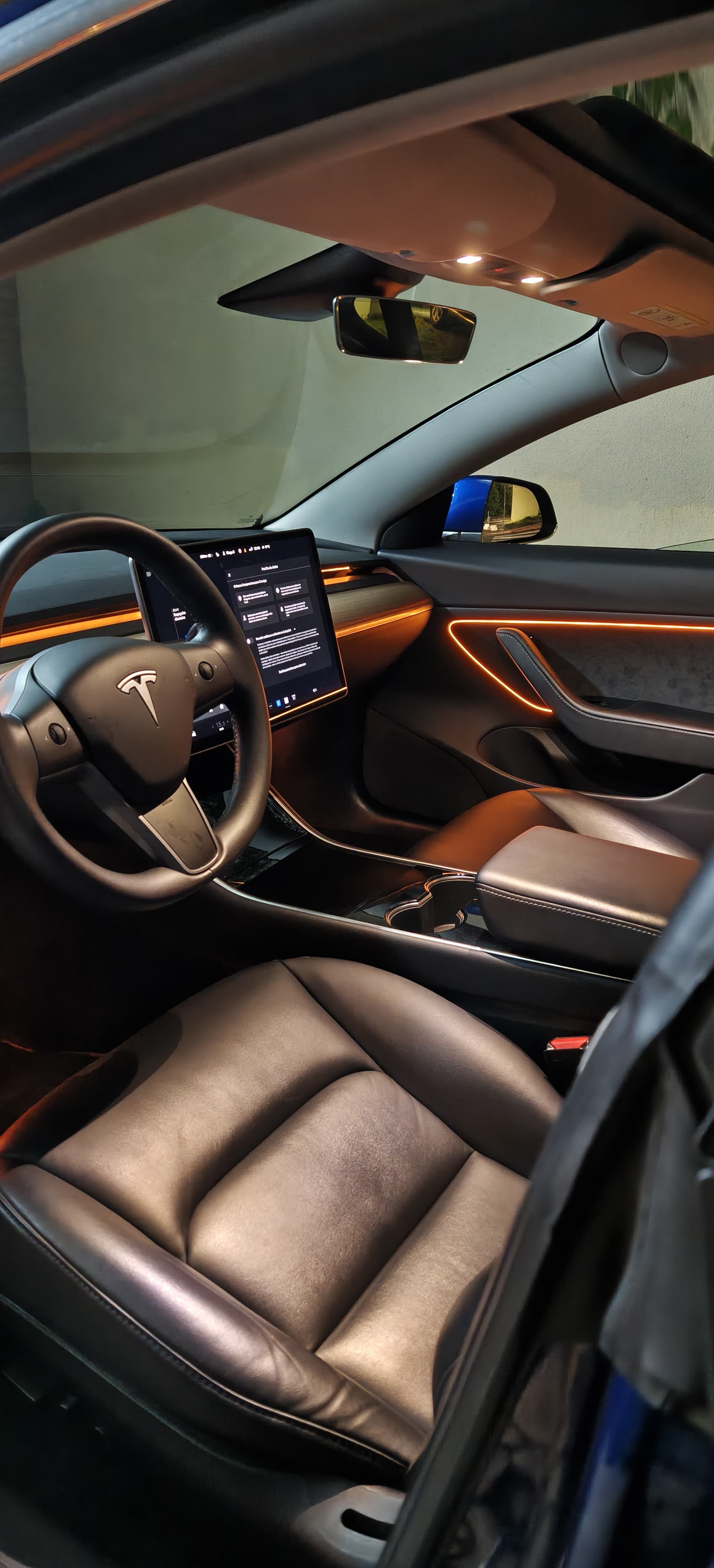 Ambient light Tesla Model 3 (2019-2024)